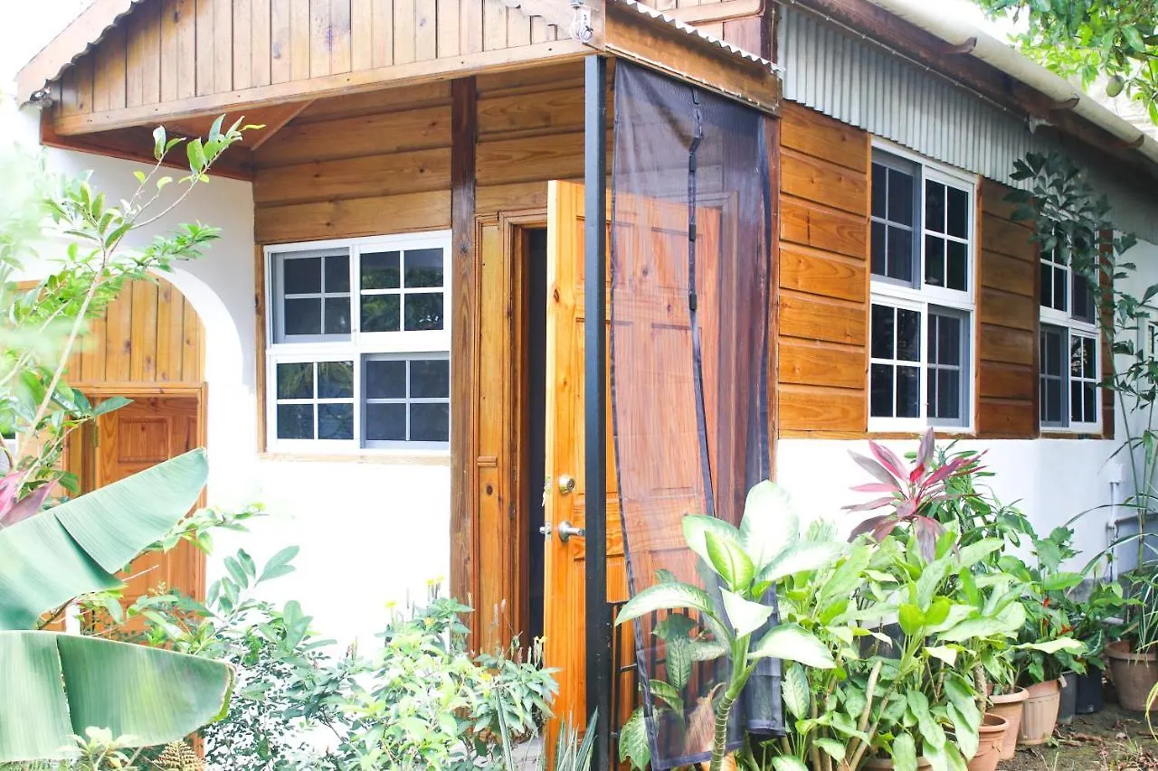 Van Villa Guesthouse Negril Gasthof